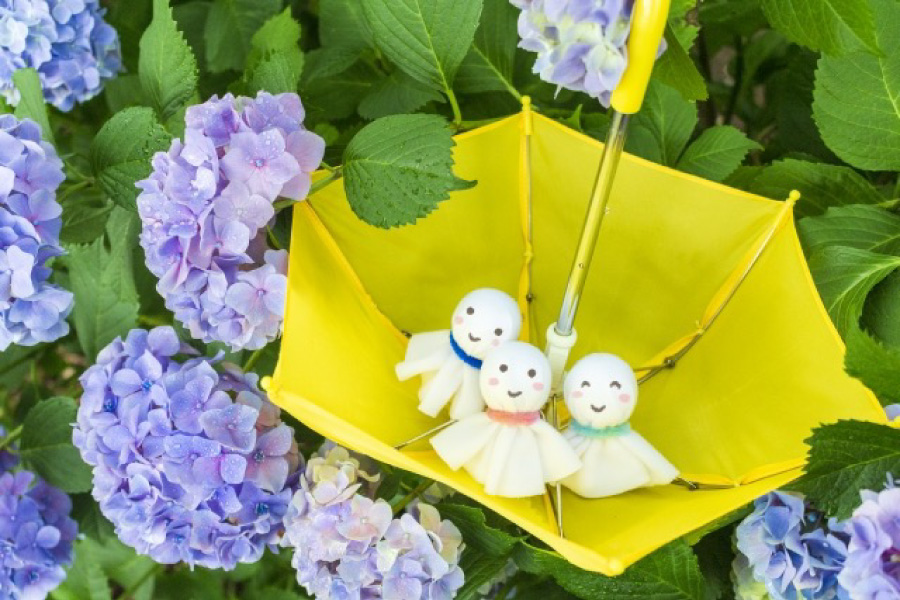 渥美あじさいの森